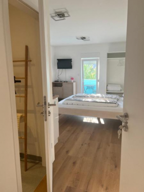 Apartments Domic